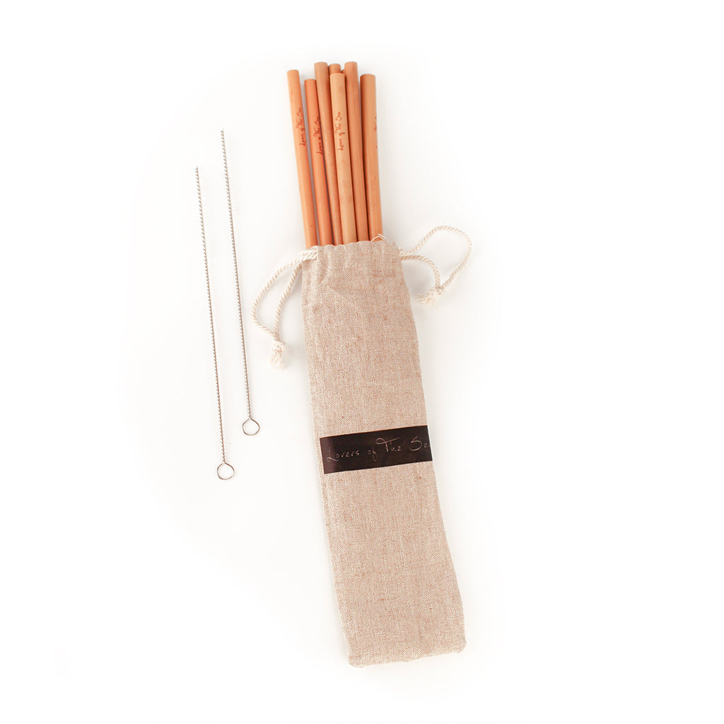 The Honolulu Straw 2-Pack Bamboo Straws with Silicone Tips